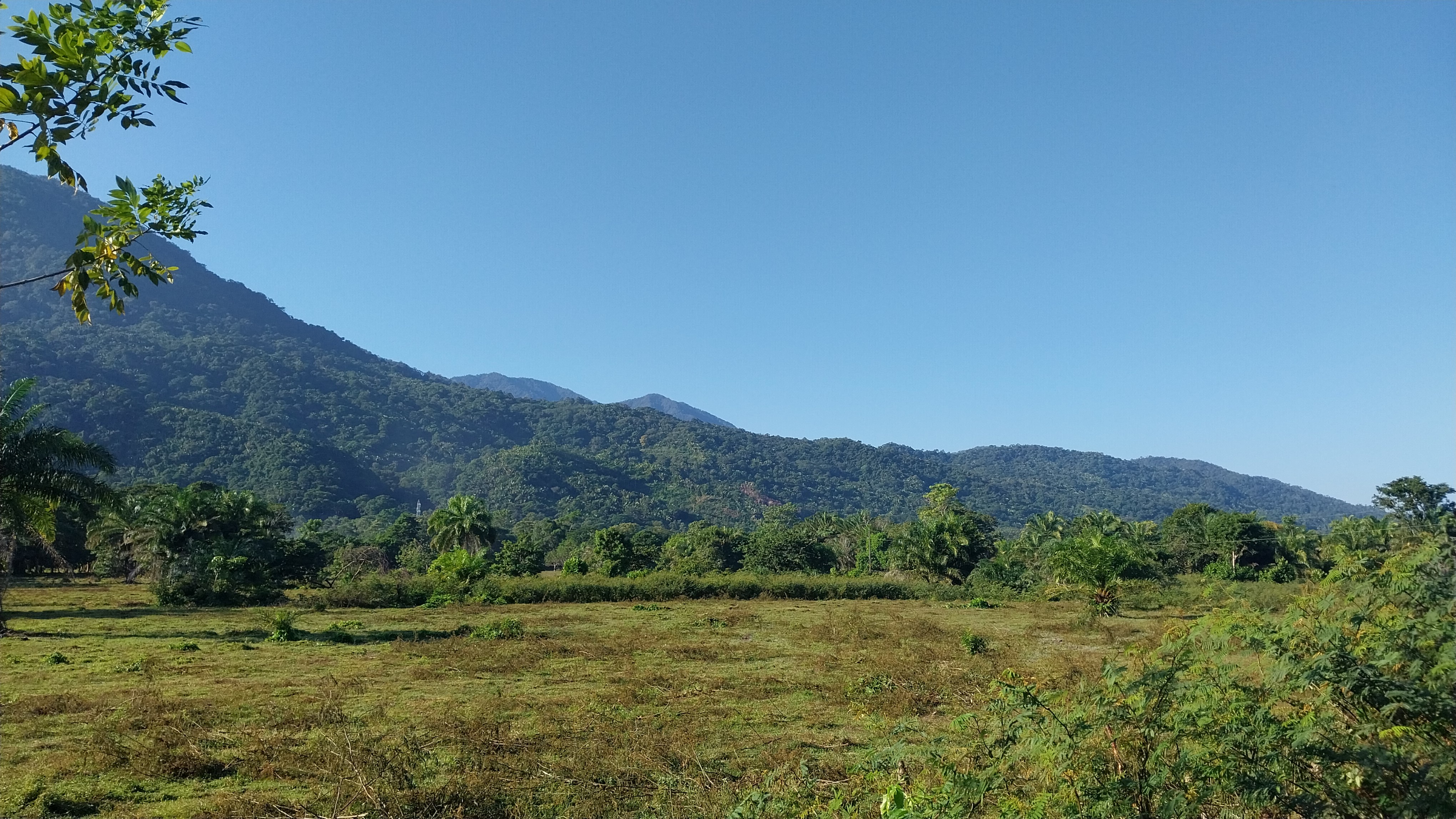 Granadita Horizon — ground-level view of open flat terrain with mountain backdrop and blue sky, Atlántida Honduras